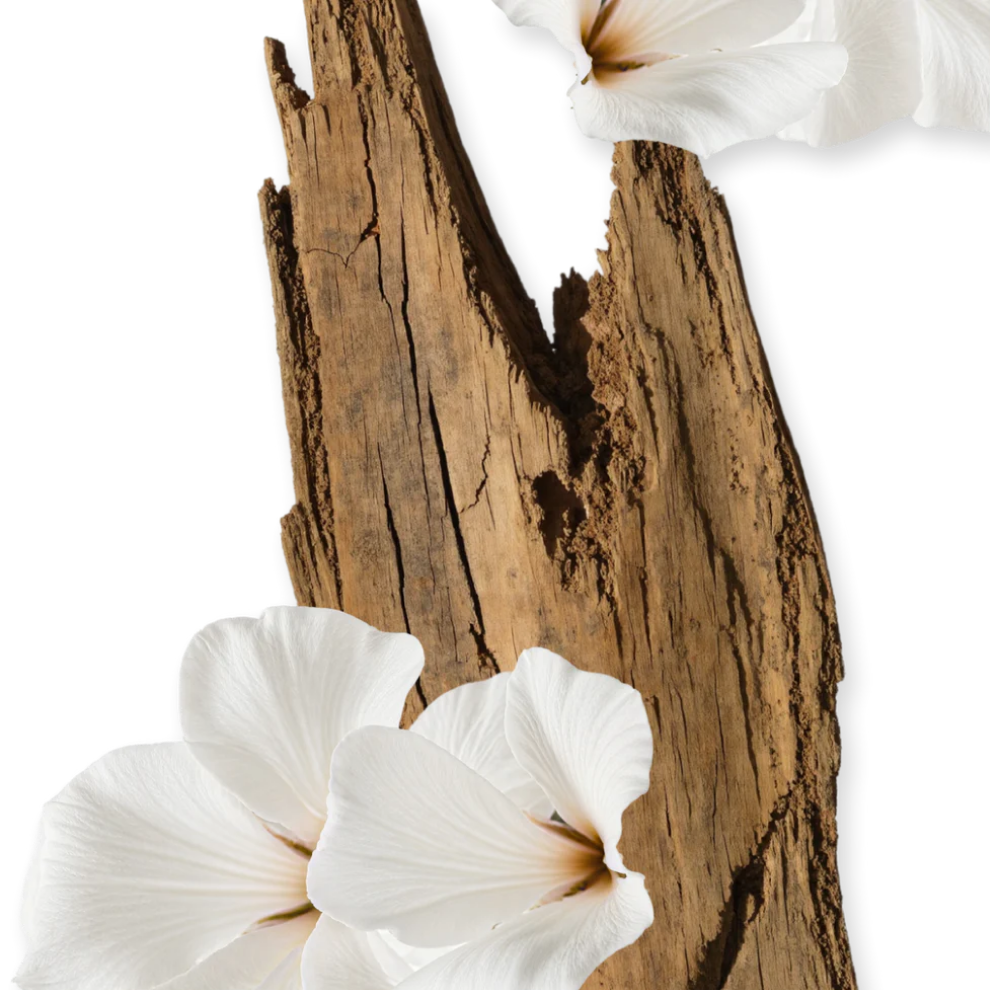 Parfums De Marly Valaya EDP
