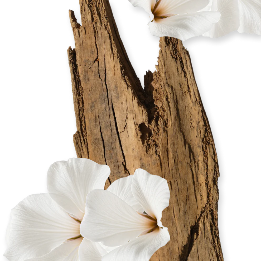 Parfums De Marly Valaya Body Cream